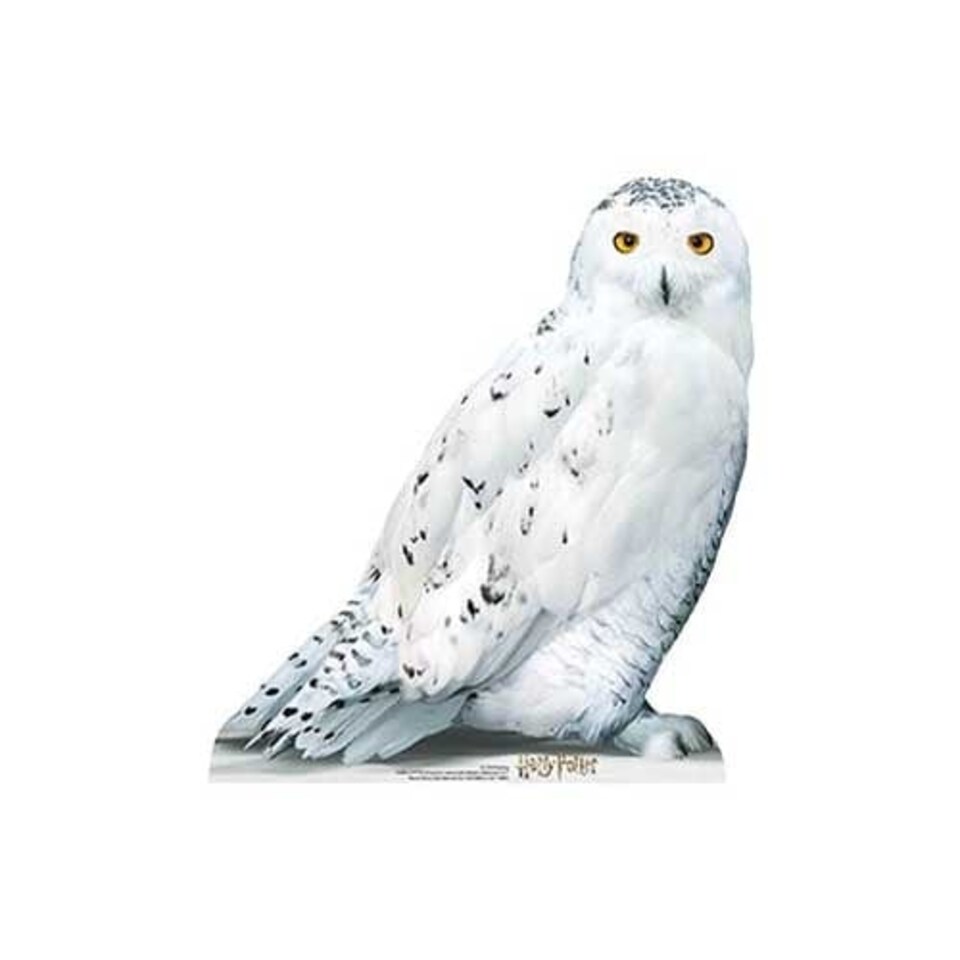 Hedwig Harry Potter Star Mini Cardboard Cutout 74cm