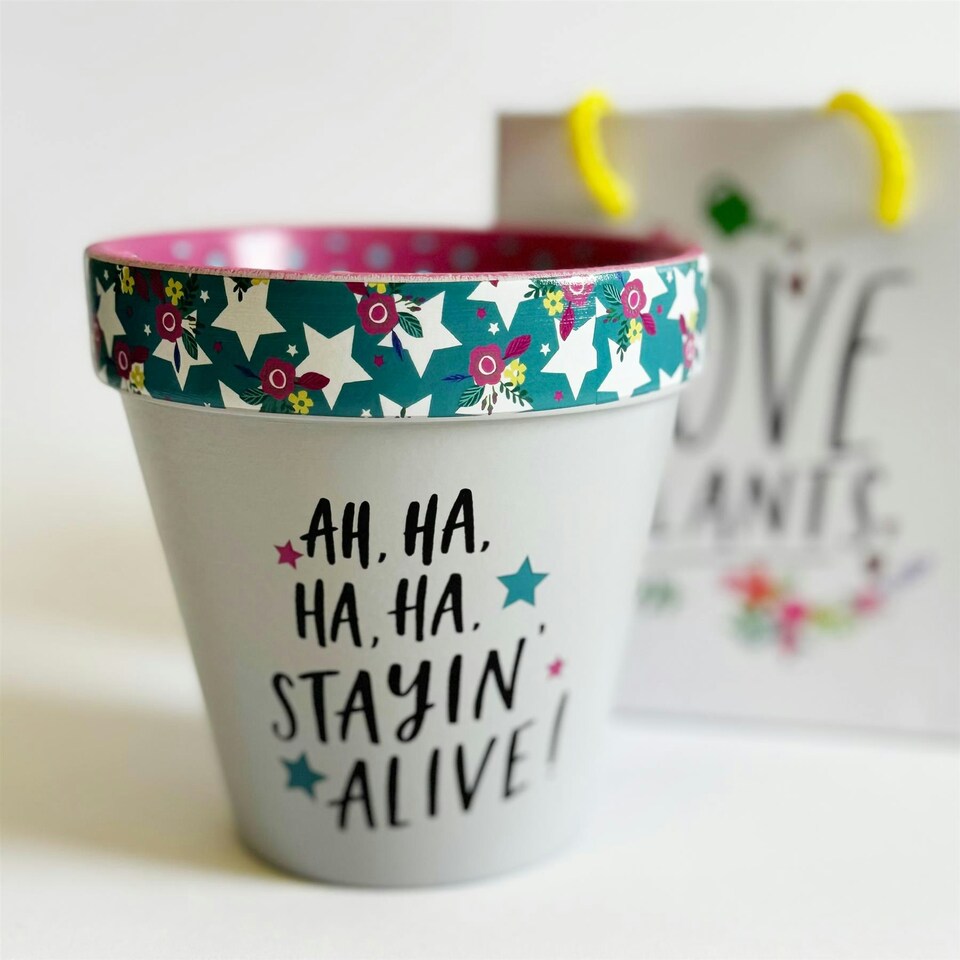 Love Plants Pot Ceramic Growing Garden Stayin Alive! N/A