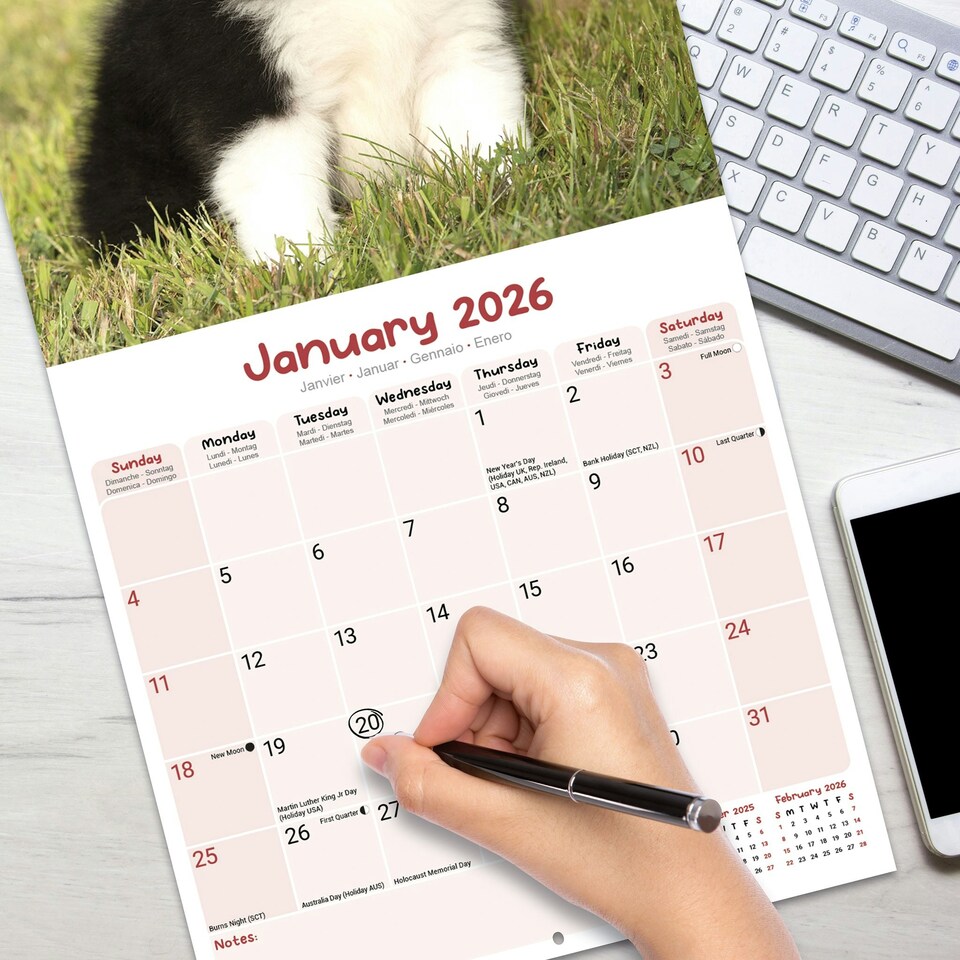 image 1 of Puppies 2026 Calendar | Square Wall Calendar | Dog Breed Gift | Plastic Free Packaging | by Avonside Publishing