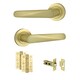 image 1 of AXS Detroit Door Handles on Rose - Door Pack - Latch Door - Satin Brass
