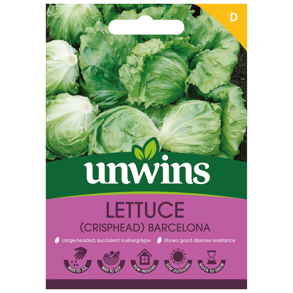 image 1 of Lettuce (Iceberg) Barcelona