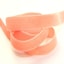 9618 Coral
