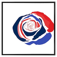 Red & blue rose (Picutre Frame) Black | XL
