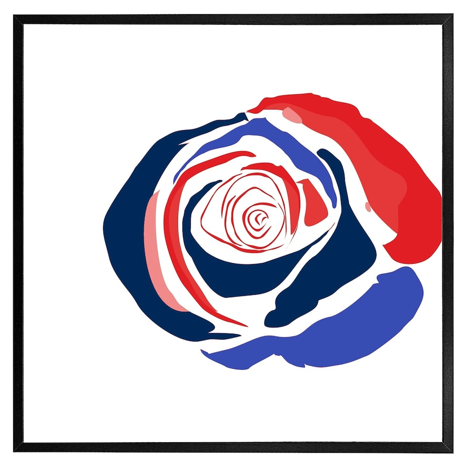 image 1 of Red & blue rose (Picutre Frame) Black | XL