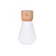 image 1 of Gingko Mini Pentagon Desk Bulb Light in Natural Wood N/A | White Ash
