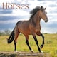 image 1 of Horses 2026 Calendar | Square Wall Calendar | Animal Gift | Plastic Free Packaging | by Avonside Publishing