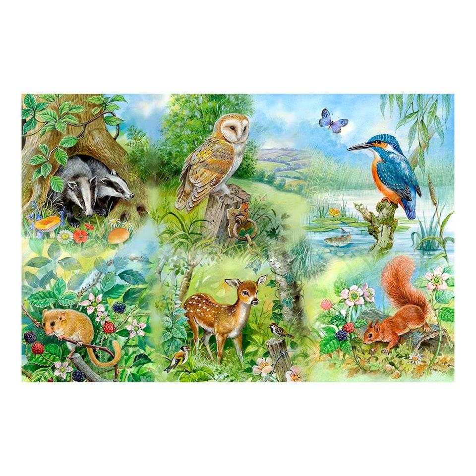 Nature Study BIG 250 Piece Jigsaw Puzzle