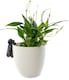 image 1 of Labrador Plant Pot Hanger - L5 x W5 x H10 cm | Black