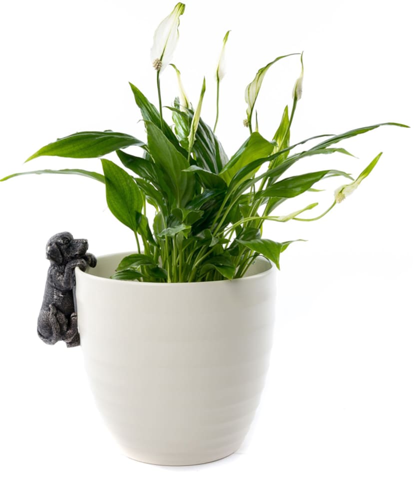 image 1 of Labrador Plant Pot Hanger - L5 x W5 x H10 cm | Black