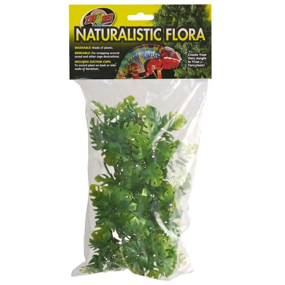Zoo Med Natural Bush Amazonian Phyllo Reptile Terrarium Plant - Small