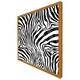 image 5 of Zebra animal print (Picture Frame) White | S