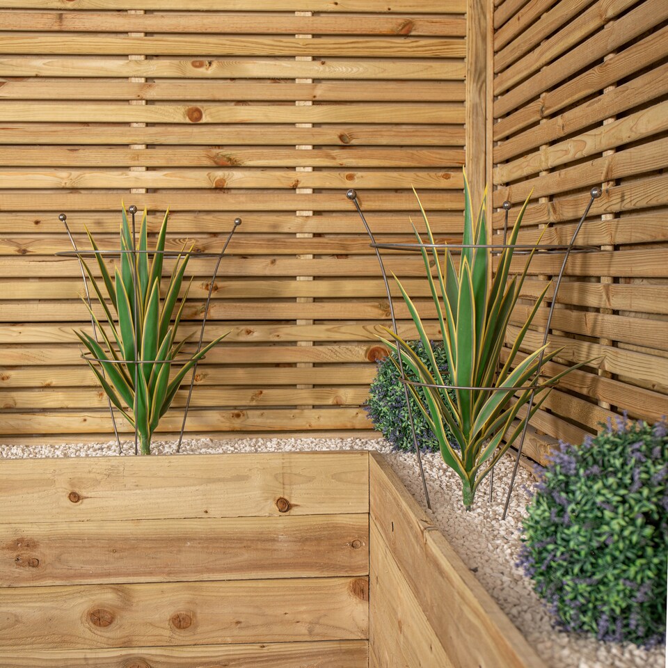 image 1 of Pack of 2 Tom Chambers Herbaceous Bare Rusted Steel Garden Plant Support Medium 54cm x 40cm