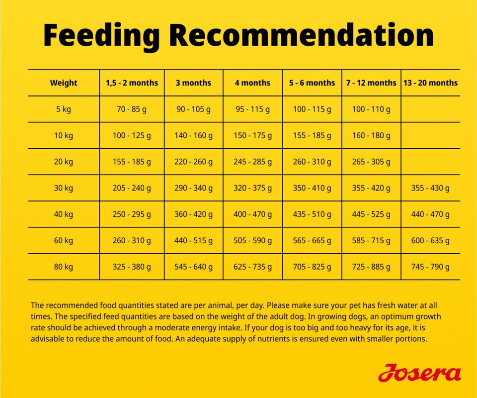 image 1 of Josera Junior YoungStar complete puppy food | Grain-free | All breed sizes | Lots of meat | Optimal digestibility | Salmon Oil Omega 3 | 5x0.9kg