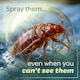 image 5 of Inoscent Bed Bug Killer Spray (5L with Sprayer) - For Mattress, Bedding & Bed Frames - Ready to Use, Non-Toxic, Pet & Family Safe