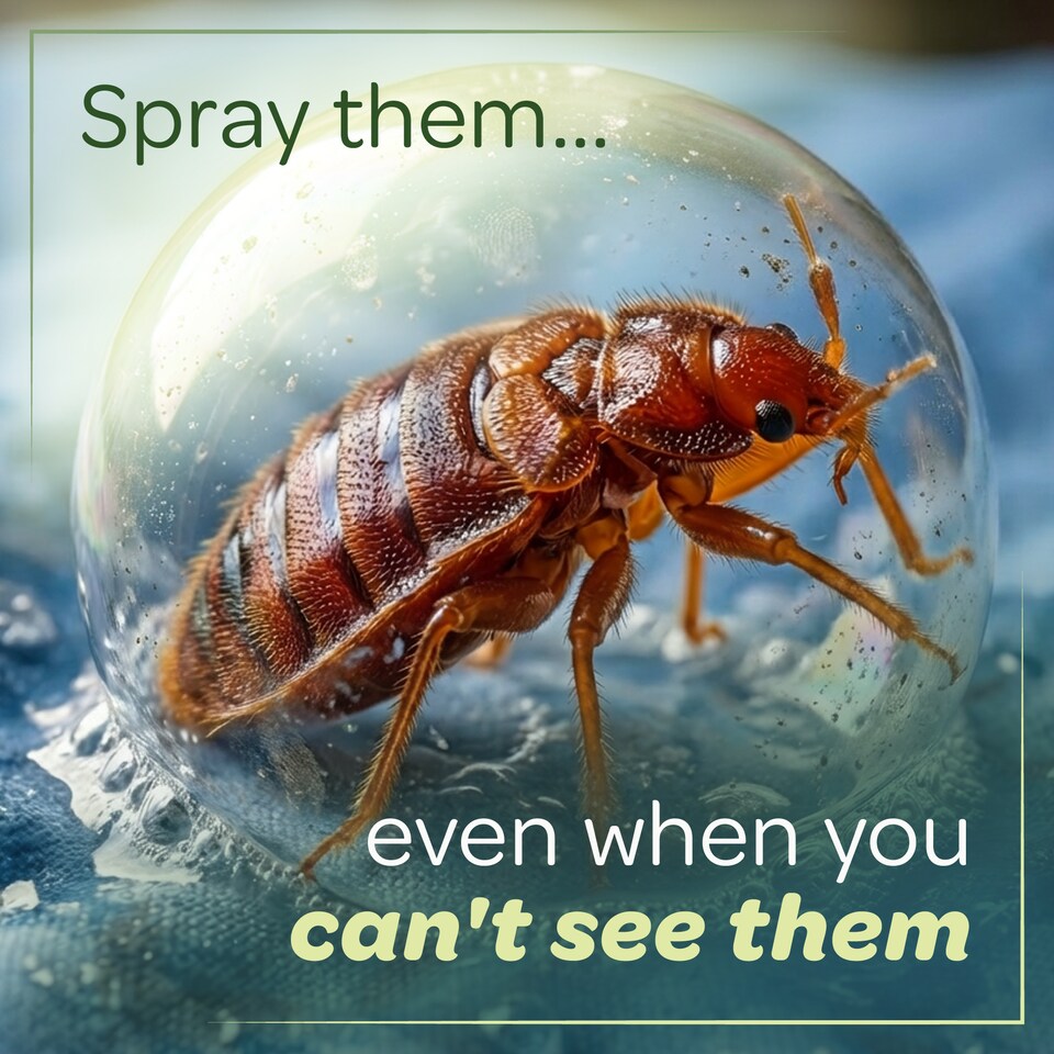 image 1 of Inoscent Bed Bug Killer Spray (5L with Sprayer) - For Mattress, Bedding & Bed Frames - Ready to Use, Non-Toxic, Pet & Family Safe