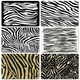 image 2 of The Zebra Print Collection (Placemat & Coaster Set)