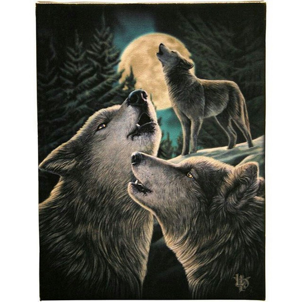 Lisa Parker Wolf Song Canvas - Multicoloured - Small