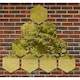 image 5 of Primrose Set of 4 Small Hexagonal Gold Garden Mirrors 11in