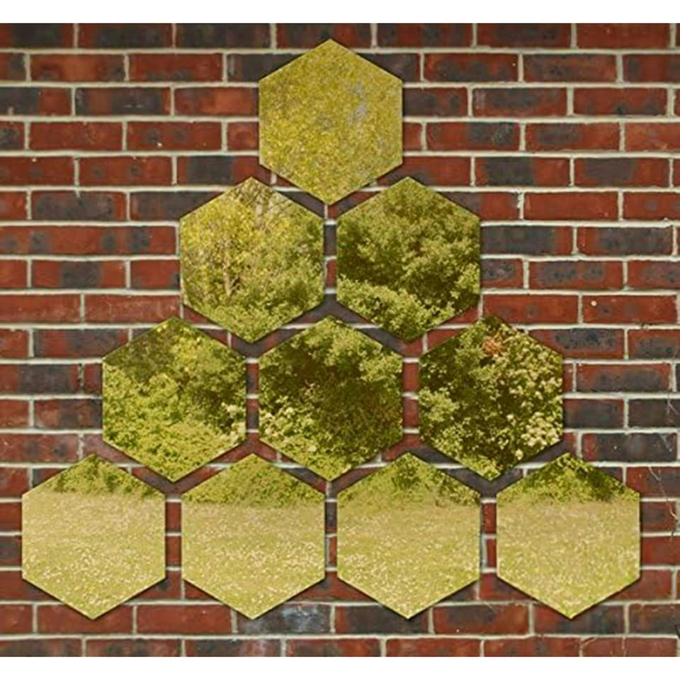 image 1 of Primrose Set of 4 Small Hexagonal Gold Garden Mirrors 11in