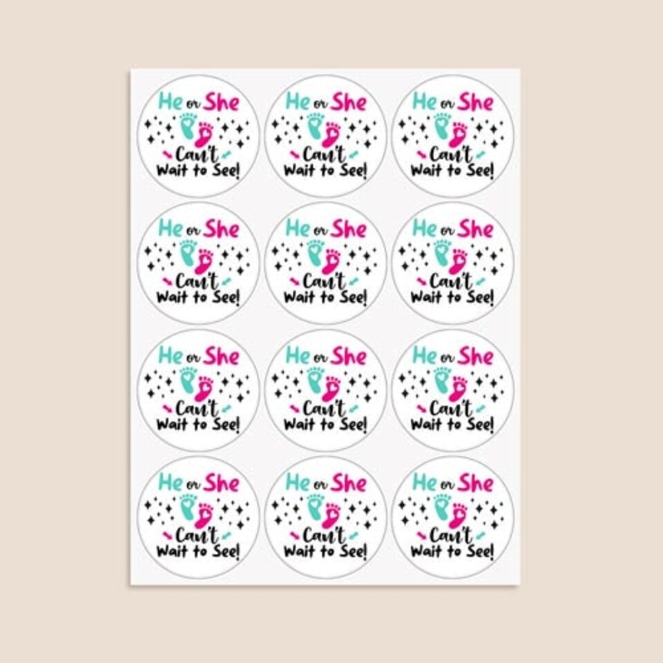 image 1 of Can't Wait to See Gender Reveal Round Stickers 60mm - Sheet of 12