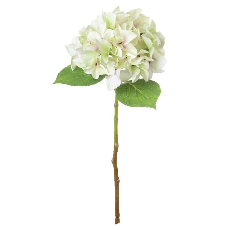 Shabby Single Hydrangea Artificial Flower - Plastic - L30 x W30 x H50 cm - Green