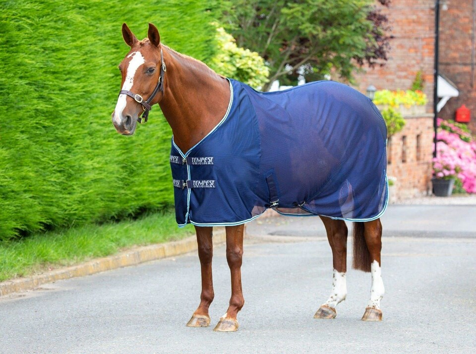 image 1 of Shires Tempest Original Mesh Cooler Rug | Multi | Colour: Ink
Size: 6ft 6