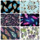image 2 of Boho Chic Feathers Collection (Placemat & Coaster Set)