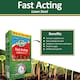 image 7 of Westland GRO-Sure Fast Acting Lawn Seed 10 Meter Square + 30 Percent Extra Quick Germination Grass Seed for Lawn Repair & Growth