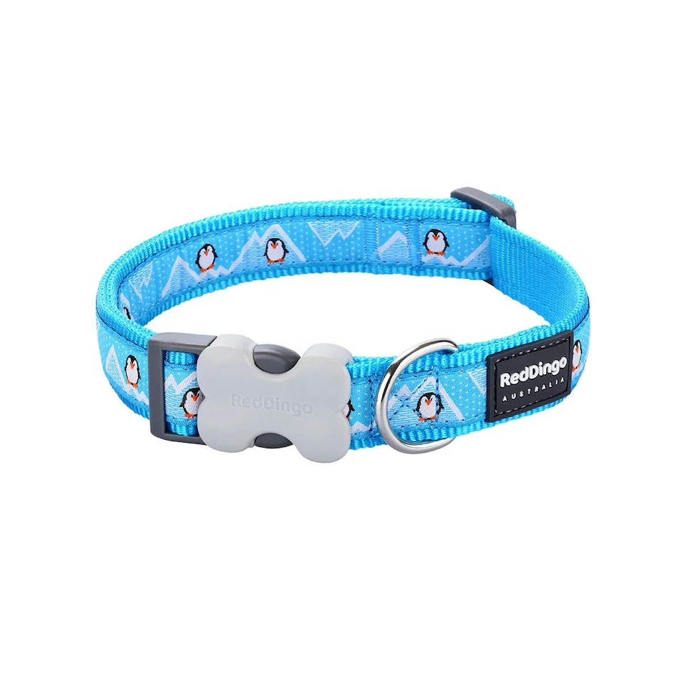 image 1 of Dog Collar Design Penguin Turquoise Blue | S