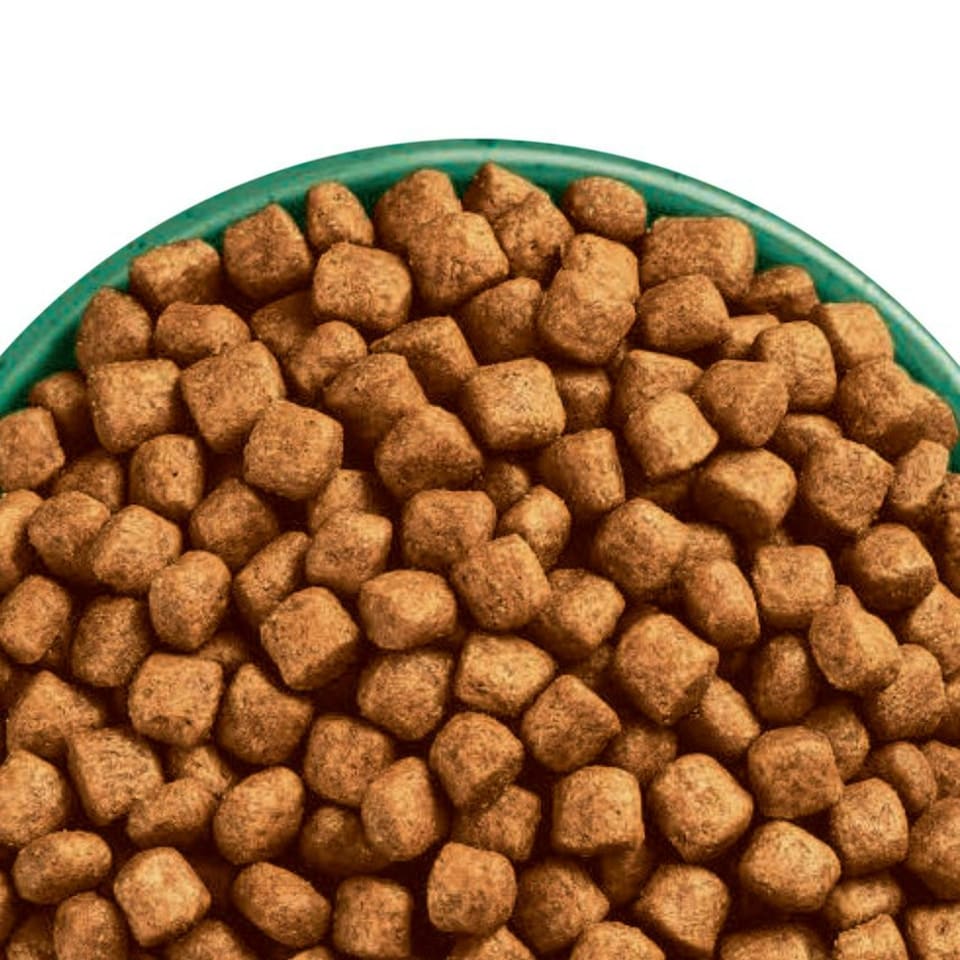 image 1 of James Wellbeloved Turkey/Rice Cat Oral Care 4KG