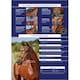 image 3 of Collegiate Comfitec Crystal Leather Bridle - Brown - Full
