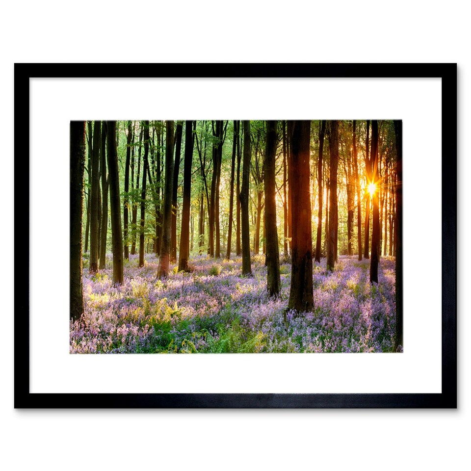 image 1 of Bluebell Wood Sunrise Trees Photograph 12x16" Framed Wall Art Print