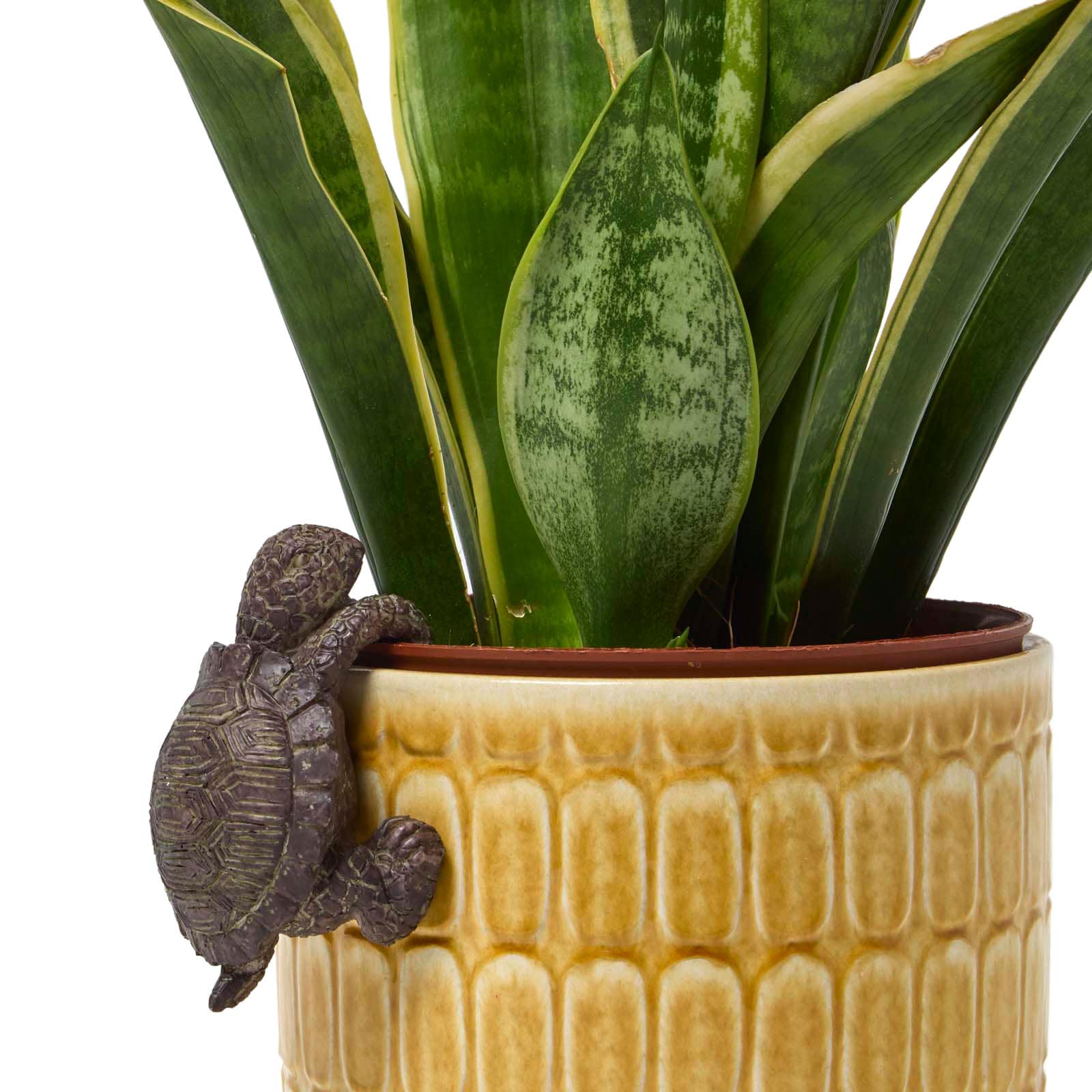 Homescapes Tortoise Pot Hanger Decoration in Grey
