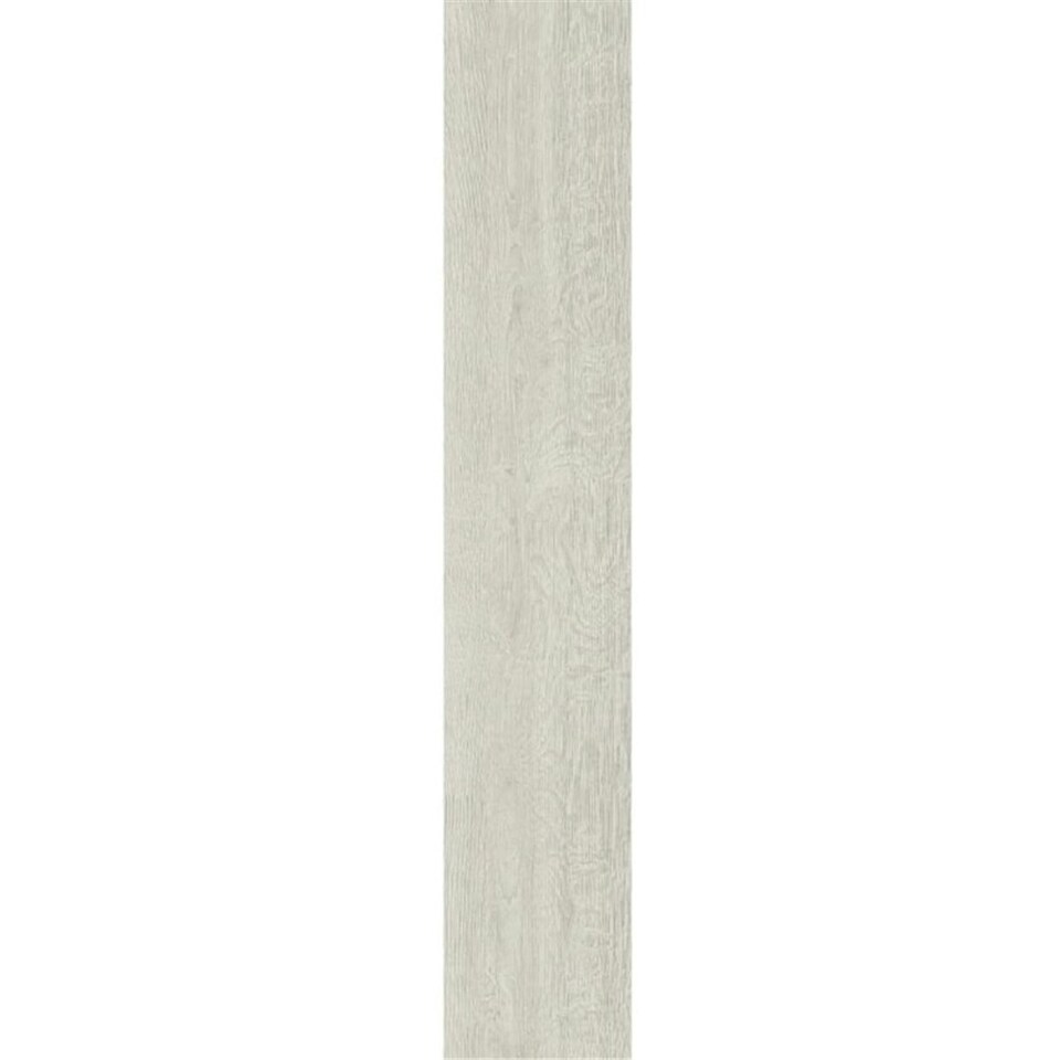 image 1 of PACK OF 5 (Total 5 Units) - White Oak 12mm Thick Laminate Flooring (7.4m2 Coverage)