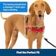 image 4 of PetSafe Easy Walk Harness - Small/Medium-Black