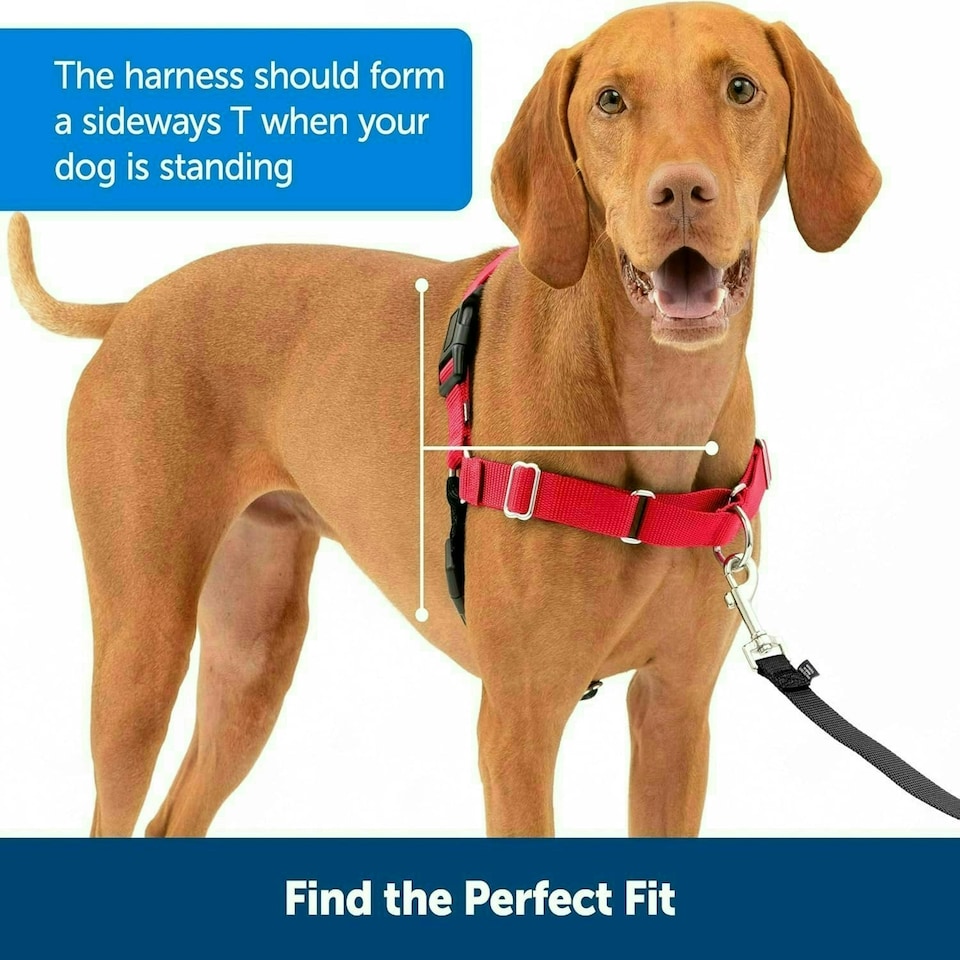 image 1 of PetSafe Easy Walk Harness - Small/Medium-Black