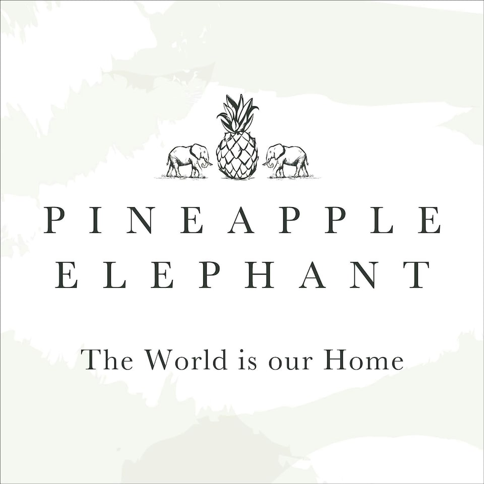 image 1 of Pineapple Elephant Izmir White Tab Top Voile White | 55x72"