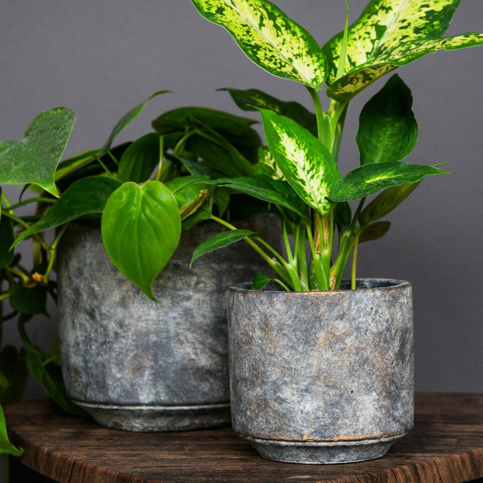 image 1 of Tivoli Planter Earth Grey