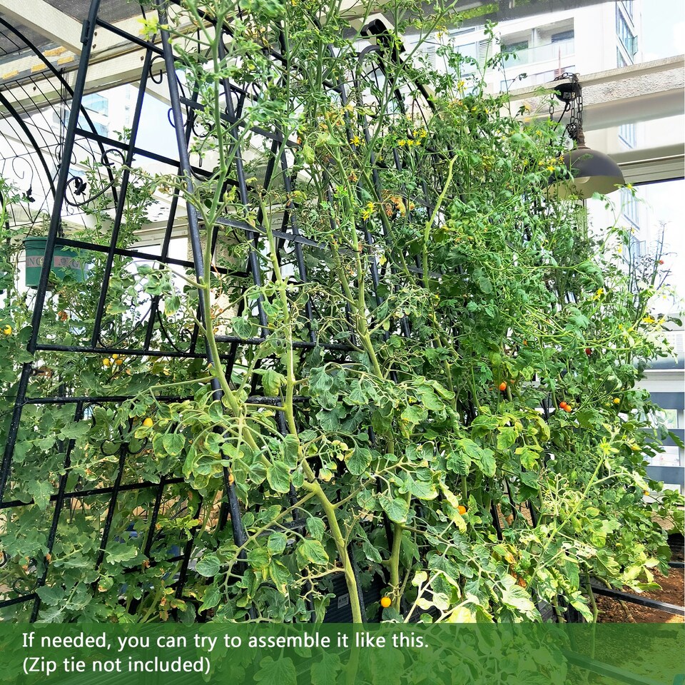 image 1 of COSTWAY 2 Pack Garden Plant Trellis Stakes for Climbing Plants