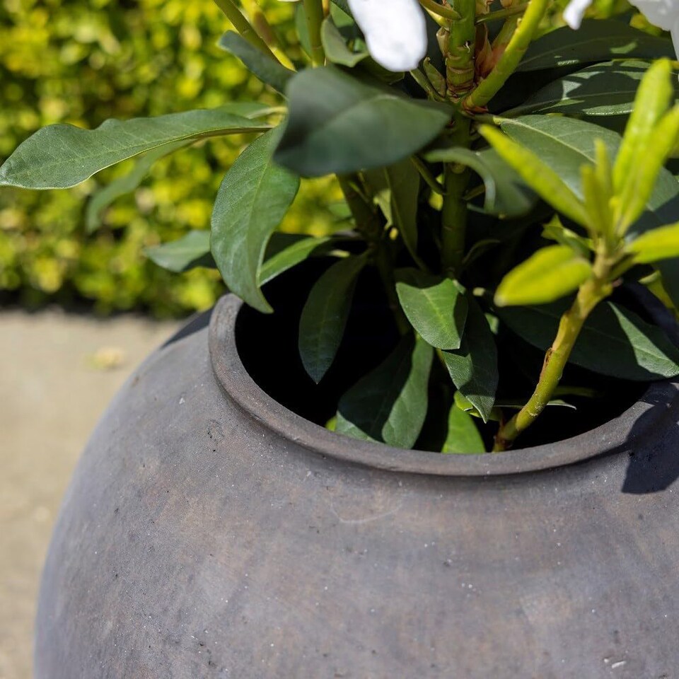 image 1 of Primrose Brown Cement Low Brimmed Textured Round Vase Planter 31cm