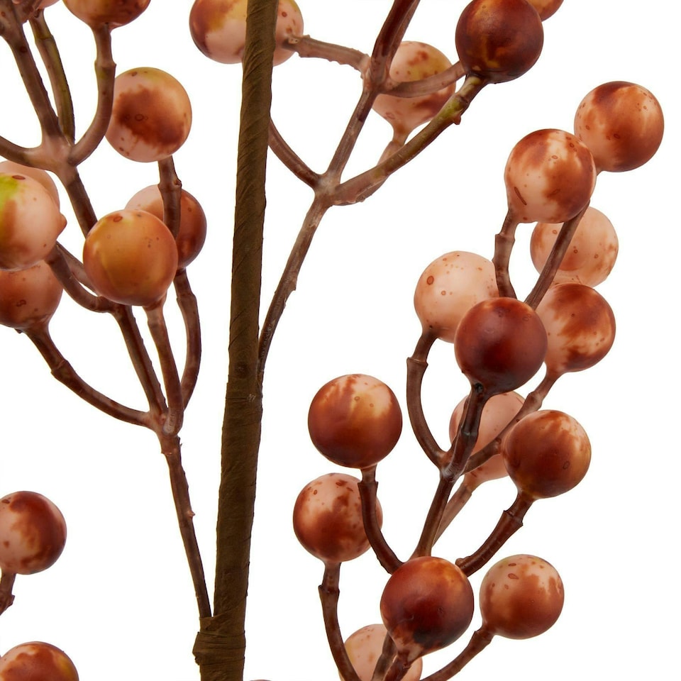 image 1 of Hill Interiors Autumn Branch Artificial Plant - Caramel/Cream/Green - One Size