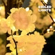 image 8 of HOMCOM 180cm Cherry Blossom Tree Light with 350 LED Lights Fake Sakura Tree