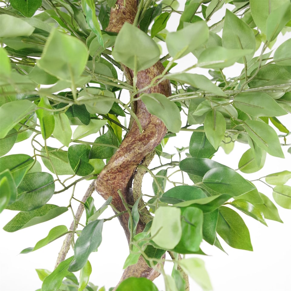 image 1 of 150cm Twisted Trunk Artificial Japanese Fruticosa Style Ficus Tree | Green | One Size