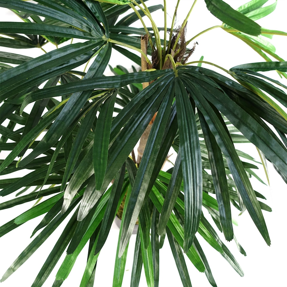 image 1 of Raphis Palm Artificial Tree 100cm - Realistic plant by Botanik | Green | 3ft