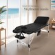 image 9 of Massage Table Ko Tao - 3 zones, 78cm wide, aluminium frame, folding, carry bag | Black | black | 1