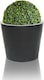 image 1 of Primrose Black Polystone Patio Garden Outdoor Round Planter 70cm