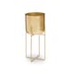 image 1 of Aliza Large Floor Standing Planter Gold