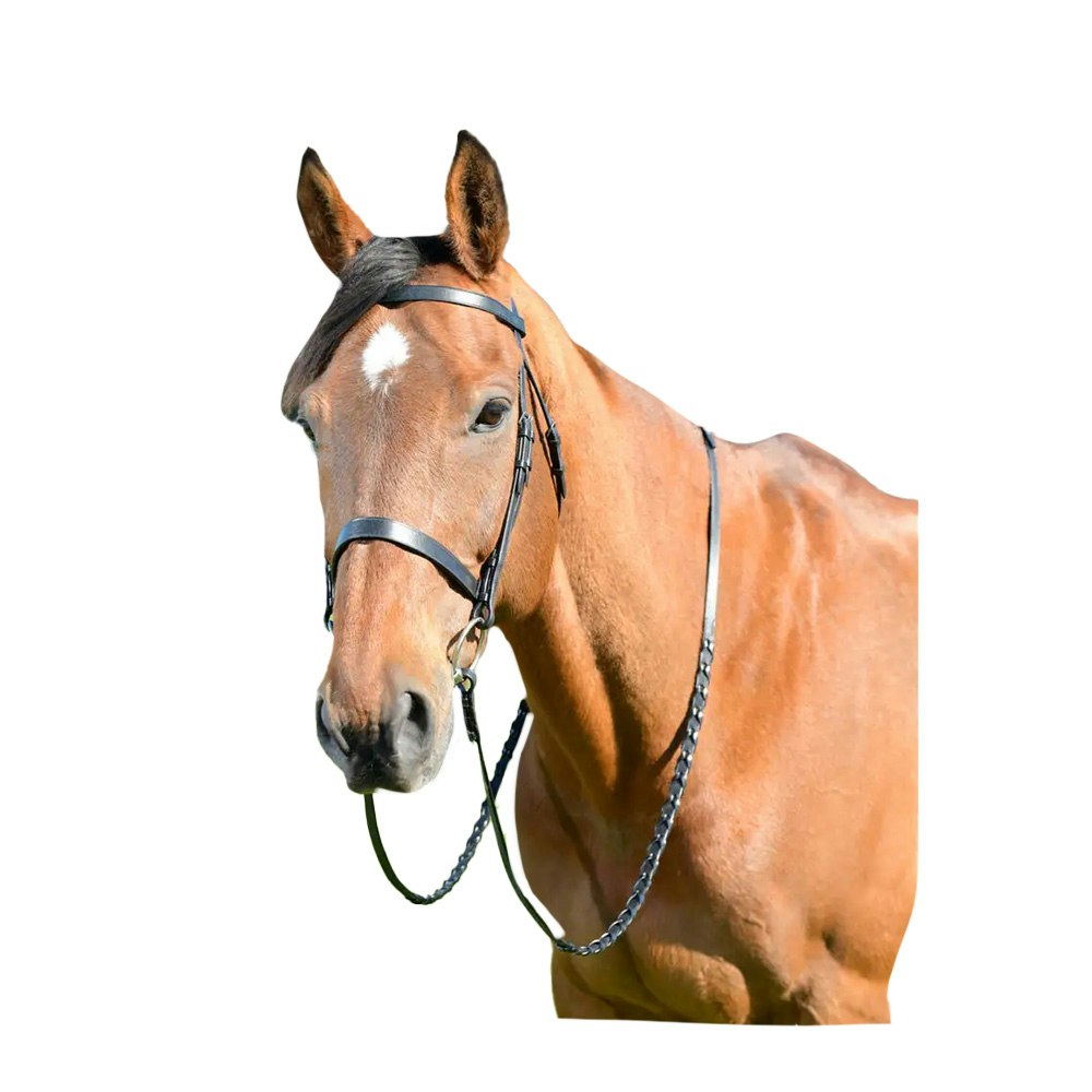 Kincade Classic Leather Horse Flat Hunt Bridle With Reins - Black - Full