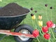 image 7 of Bulk Dumpy Bag Premium Vegetable Top Soil