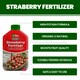 image 2 of Vitax Organic Strawberry Fertiliser 1L Liquid for Rich Flavor Bountiful Strawberries and Prolific Yields